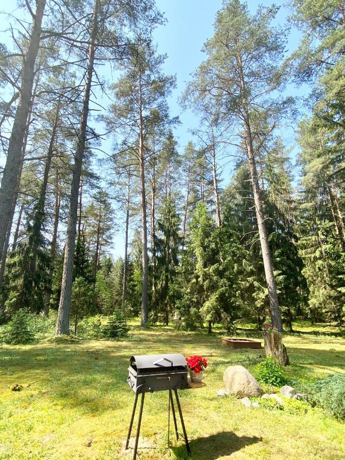 Вилла Rojaus Slenis Друскининкай Экстерьер фото