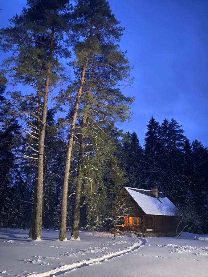 Вилла Rojaus Slenis Друскининкай Экстерьер фото