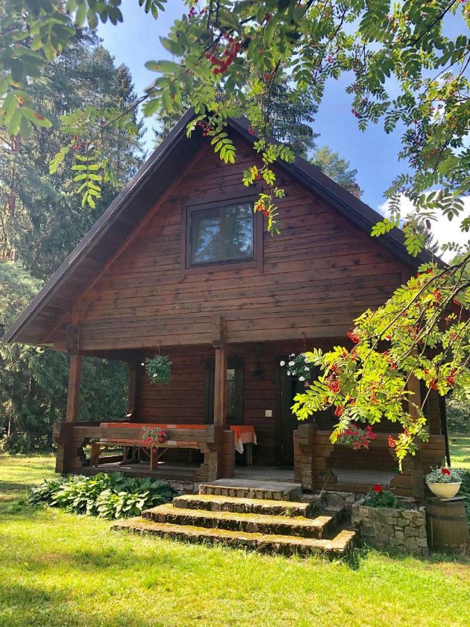 Вилла Rojaus Slenis Друскининкай Экстерьер фото