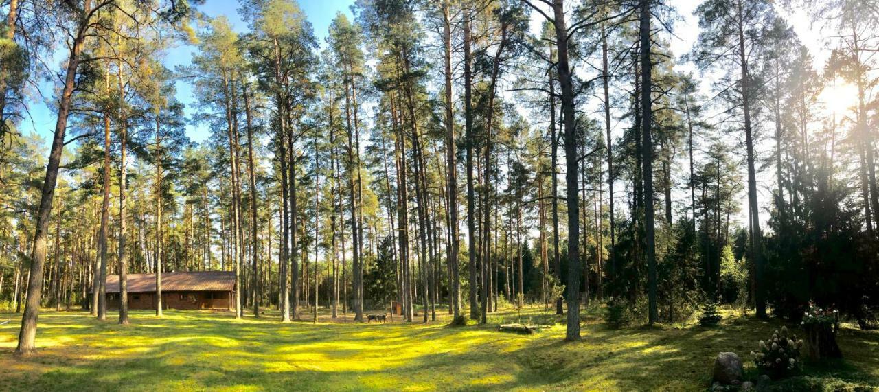 Вилла Rojaus Slenis Друскининкай Экстерьер фото